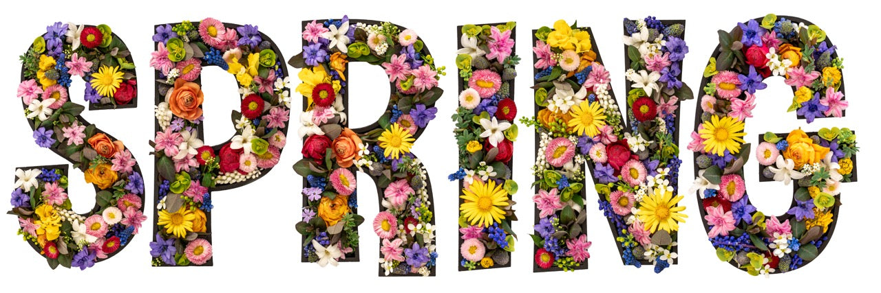 Spring-IBKUL-fashion-athleisure