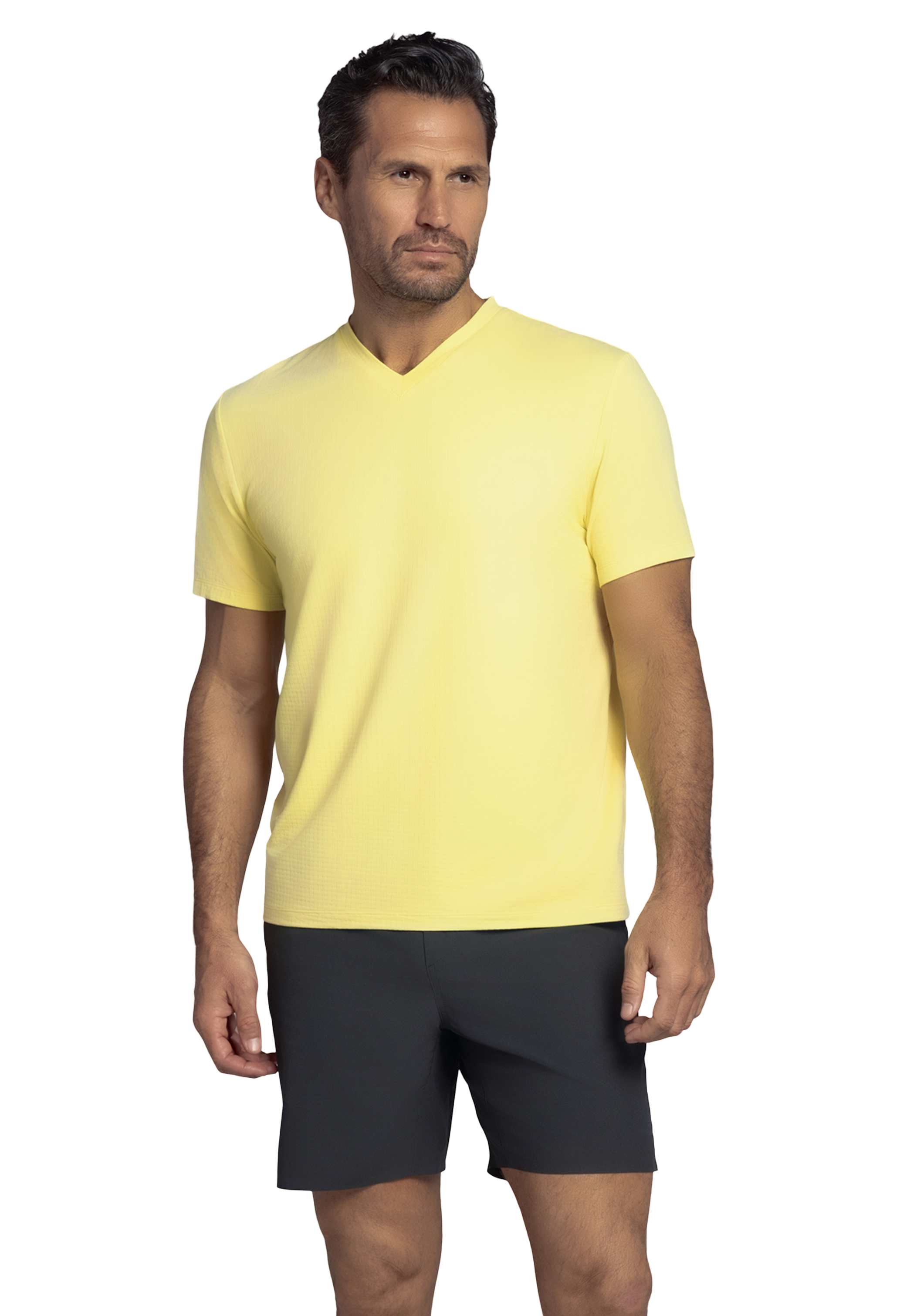 Solid Short Sleeve V Neck