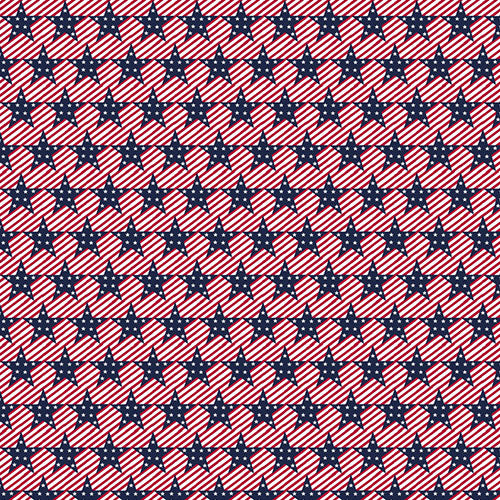 Stars & Stripes Print Long Sleeve Mock Neck Top – 10545
