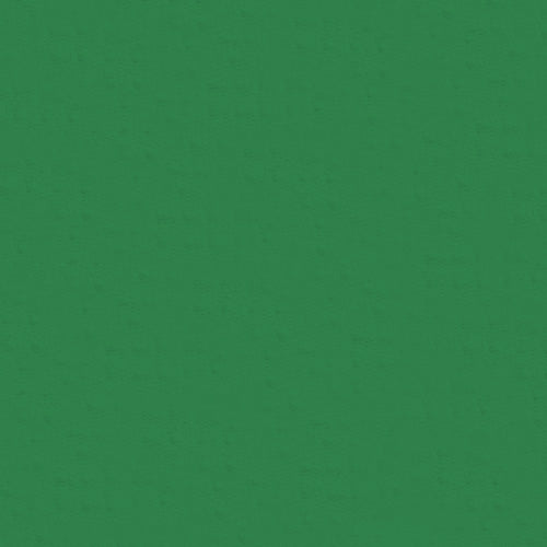 IBKÜL - Solid Long Sleeve Mock Neck Top - 80000 TEST - Color: Green