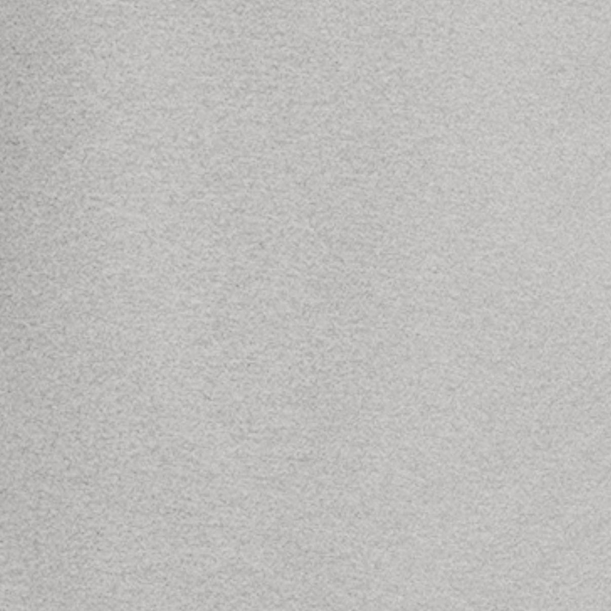 Solid light gray color swatch