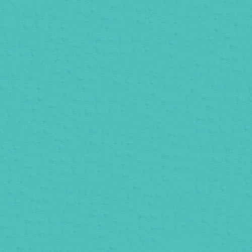 IBKÜL - Solid Long Sleeve Mock Neck Top - 80000 TEST - Color: Black